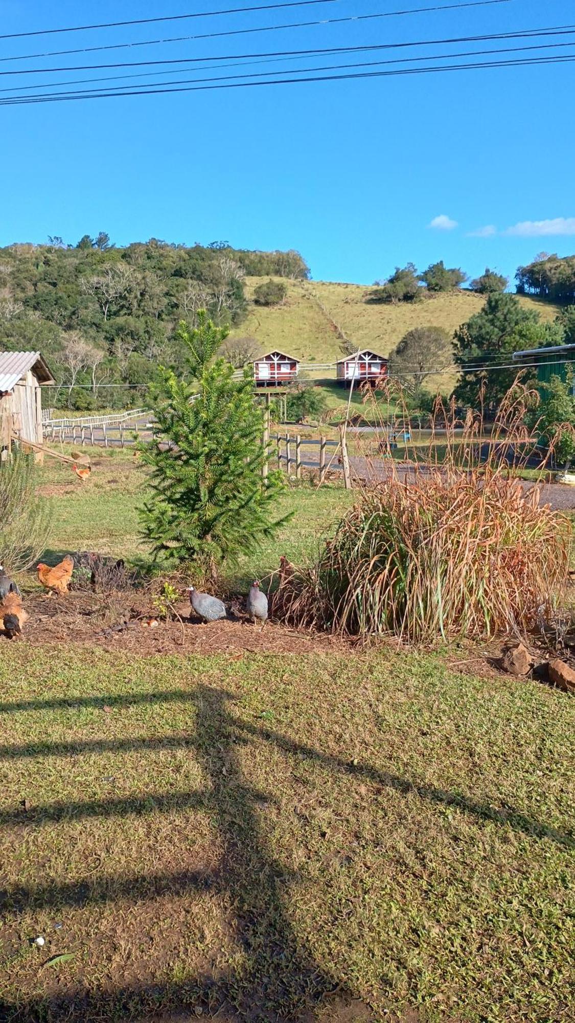 Pousada Rancho Do Lago Osorio Kamer foto