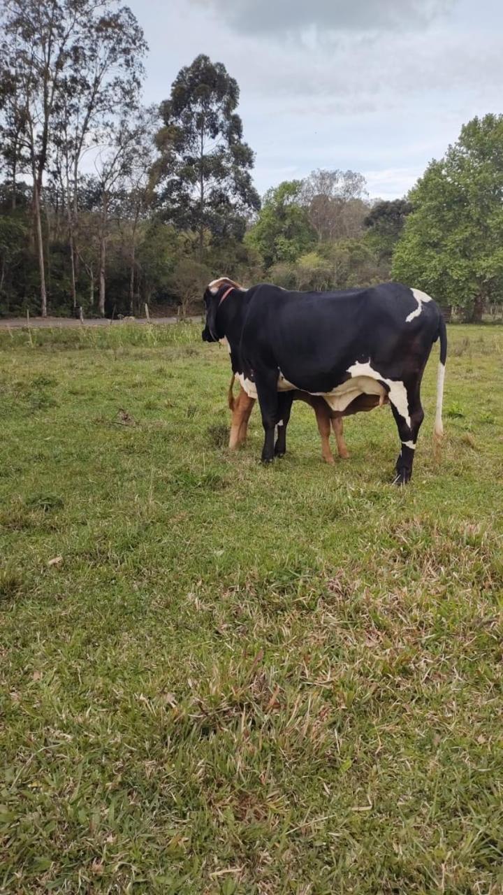 Pousada Rancho Do Lago Osorio Buitenkant foto